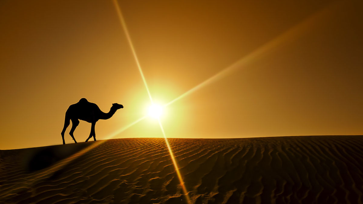 โรงแรมคาร์ลตัน พาเลซ ดูไบ ภายนอก รูปภาพ The Sahara Desert